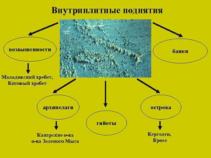 Внутриплитные поднятия возвышенности банки Мальдивский хребет, Китовый хребет архипелаги острова гийоты Канарские о-ва Зеленого