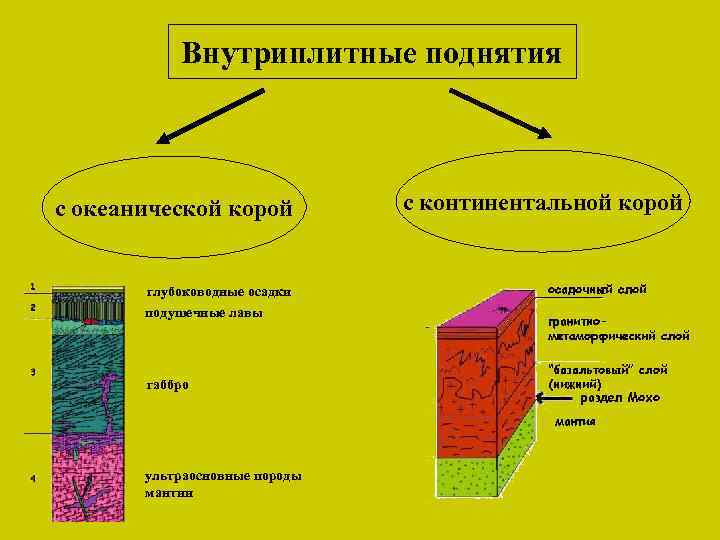 Внутриплитные поднятия с океанической корой глубоководные осадки подушечные лавы габбро ультраосновные породы мантии с