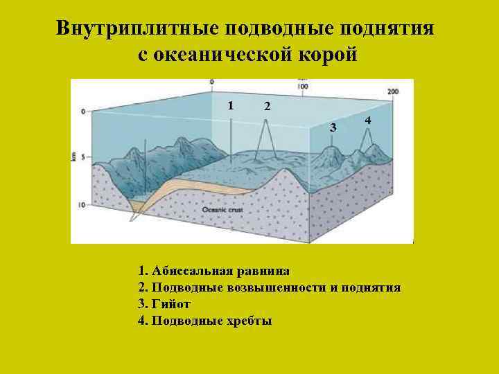 Внутриплитные подводные поднятия с океанической корой 1. Абиссальная равнина 2. Подводные возвышенности и поднятия