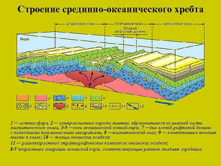 Какой цифрой на рисунке обозначен срединно океанический хребет