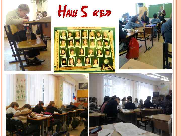 НАШ 5 «Б» 