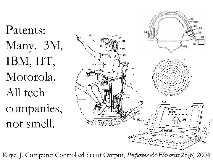 Patents: Many. 3 M, IBM, IIT, Motorola. All tech companies, not smell. Kaye, J.