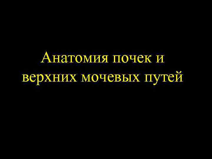 Анатомия почек и верхних мочевых путей 