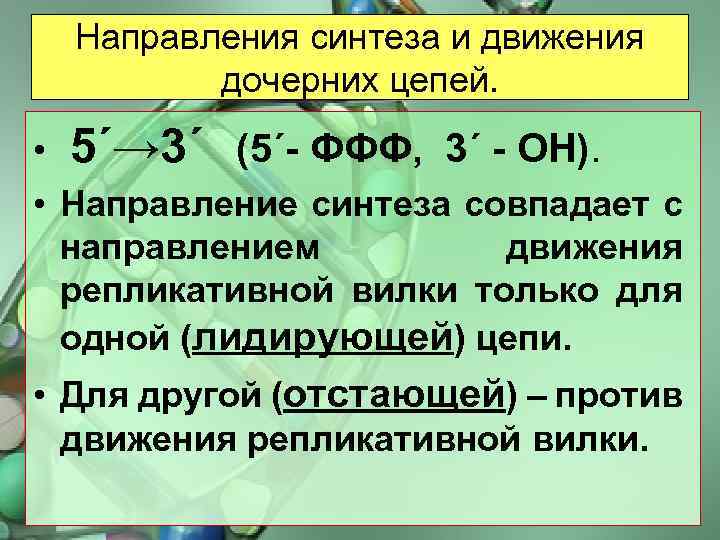 Направления синтеза и движения дочерних цепей. • 5΄→ 3΄ (5΄- ФФФ, 3΄ - ОН).