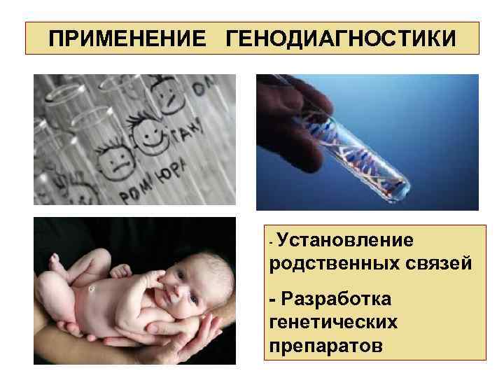 ПРИМЕНЕНИЕ ГЕНОДИАГНОСТИКИ - Установление родственных связей - Разработка генетических препаратов 