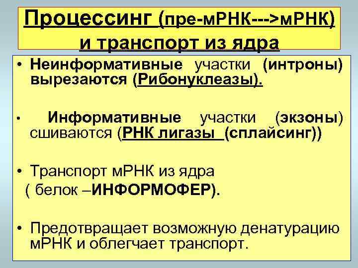 Процессинг (пре-м. РНК--->м. РНК) и транспорт из ядра • Неинформативные участки (интроны) вырезаются (Рибонуклеазы).