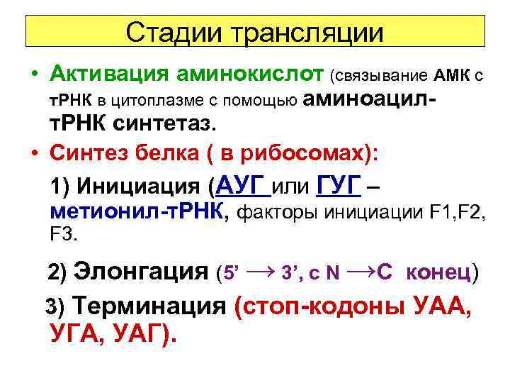 Стадии трансляции • Активация аминокислот (связывание АМК с т. РНК в цитоплазме с помощью