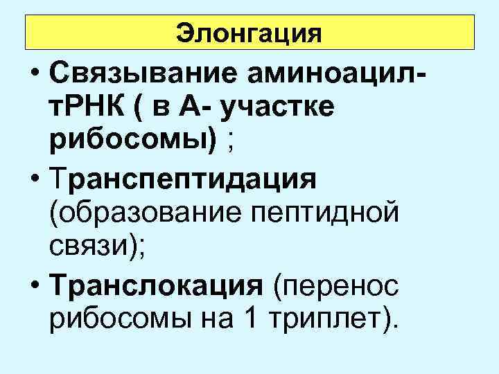 Элонгация • Связывание аминоацилт. РНК ( в А- участке рибосомы) ; • Транспептидация (образование