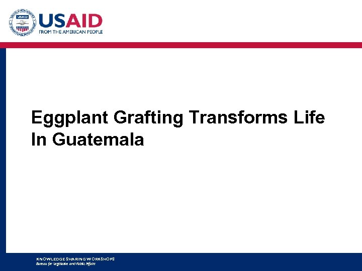 Eggplant Grafting Transforms Life In Guatemala KNOWLEDGE SHARING WORKSHOPS Bureau for Legislative and Public