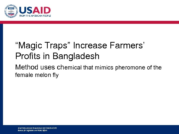 “Magic Traps” Increase Farmers’ Profits in Bangladesh Method uses chemical that mimics pheromone of