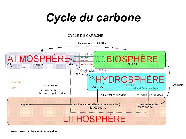 Cycle du carbone 