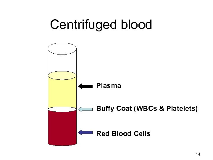 Centrifuged blood Plasma Buffy Coat (WBCs & Platelets) Red Blood Cells 14 