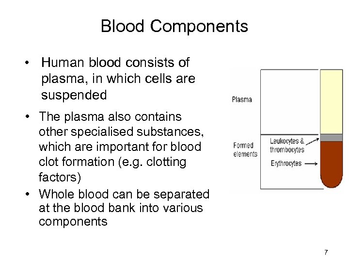 Blood Components • Human blood consists of plasma, in which cells are suspended •