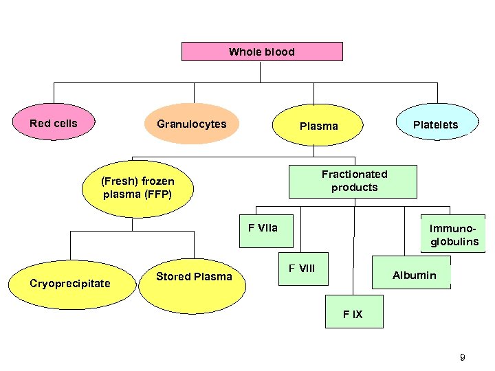 Whole blood Red cells Granulocytes Platelets Plasma Fractionated products (Fresh) frozen plasma (FFP) F