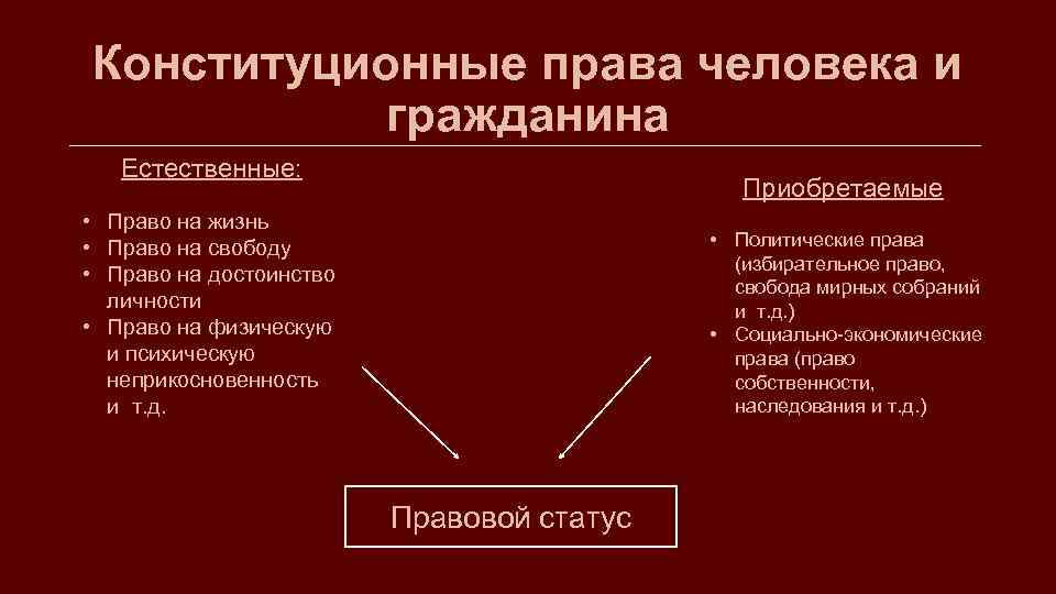 Естественное право человека по конституции