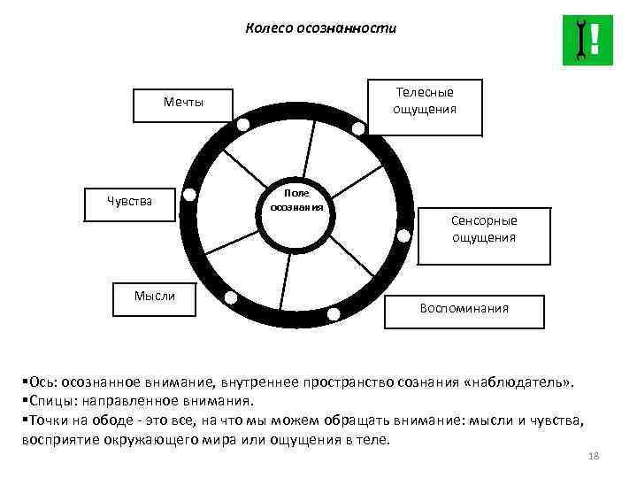 Колесо осознанности Телесные ощущения Мечты Чувства Мысли Поле осознания Сенсорные ощущения Воспоминания §Ось: осознанное