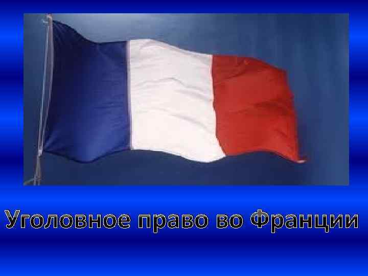 Уголовное право во Франции 