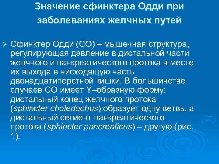 Значение сфинктера Одди при заболеваниях желчных путей Ø Сфинктер Одди (СО) – мышечная структура,