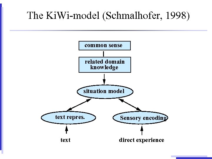 The Ki. Wi-model (Schmalhofer, 1998) common sense related domain knowledge situation model text repres.
