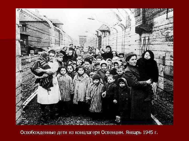 Освобожденные дети из концлагеря Освенцим. Январь 1945 г. 