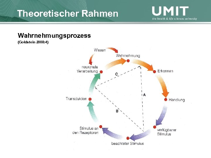 Masterstudium Pflegewissenschaft Theoretischer Rahmen Übersicht Wahrnehmungsprozess (Goldstein 2008: 4) 
