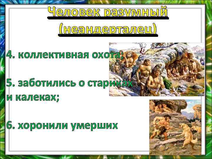 Человек разумный (неандерталец) 4. коллективная охота; 5. заботились о стариках и калеках; 6. хоронили