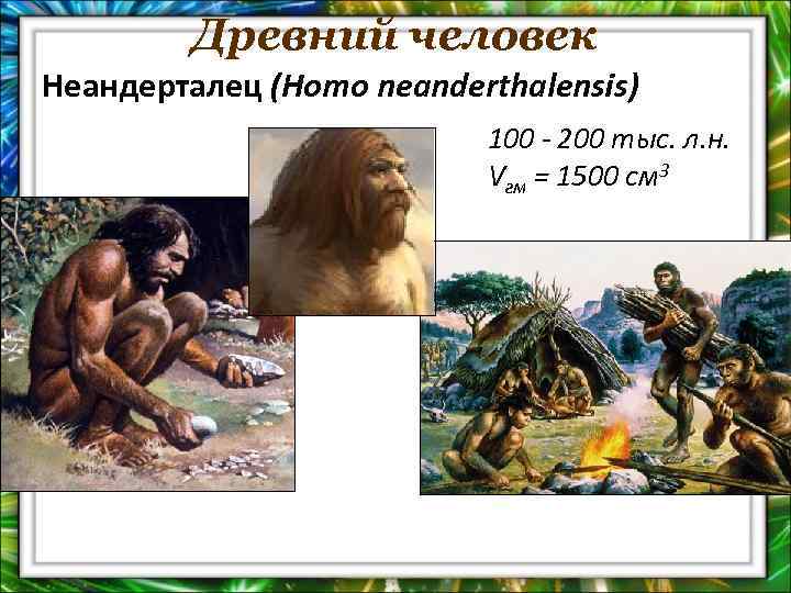 Древний человек Неандерталец (Homo neanderthalensis) 100 - 200 тыс. л. н. Vгм = 1500