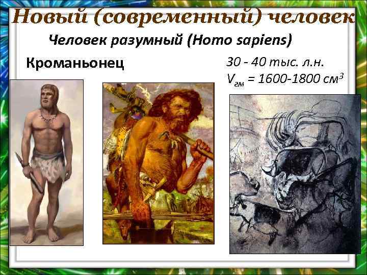 Новый (современный) человек Человек разумный (Homo sapiens) 30 - 40 тыс. л. н. Кроманьонец