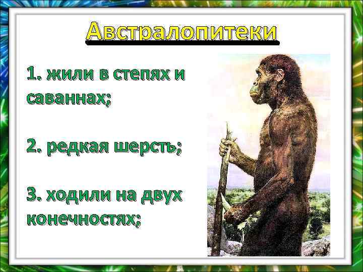 Австралопитеки 1. жили в степях и саваннах; 2. редкая шерсть; 3. ходили на двух