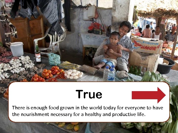 True There is enough food grown in the world today for everyone to have