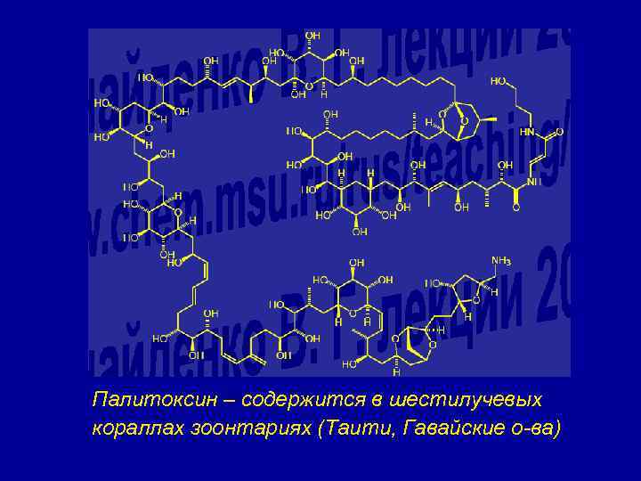 Палитоксин – содержится в шестилучевых кораллах зоонтариях (Таити, Гавайские о-ва) 