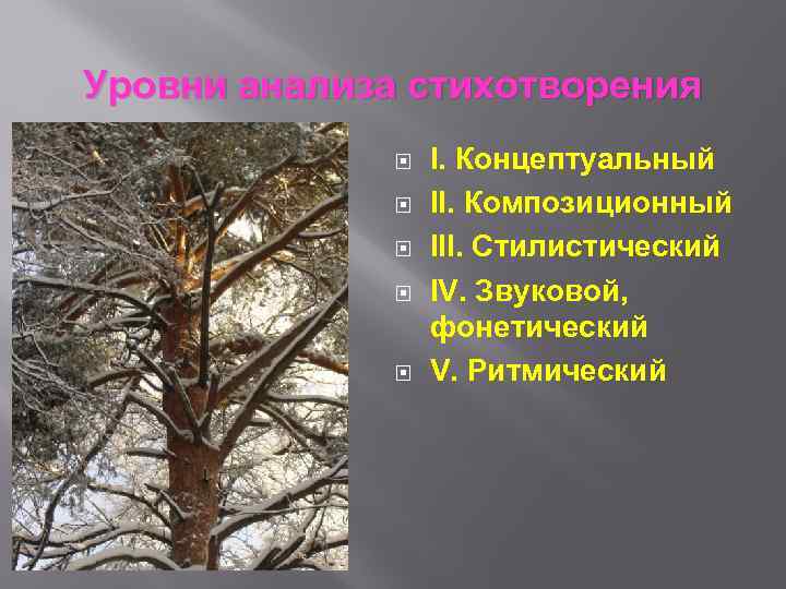 Уровни анализа стихотворения I. Концептуальный II. Композиционный III. Стилистический IV. Звуковой, фонетический V. Ритмический