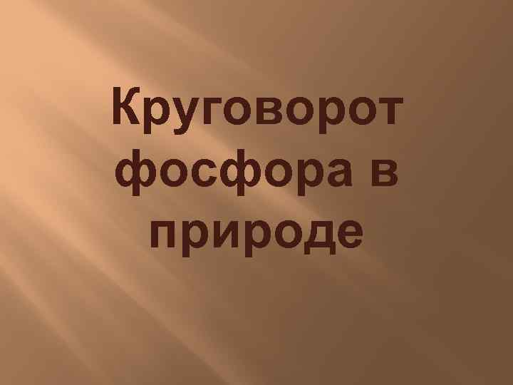 Круговорот фосфора в природе 