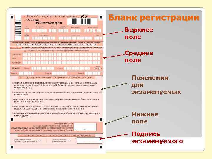 2014 Бланк регистрации Верхнее поле Среднее поле Пояснения для экзаменуемых Нижнее поле Подпись экзаменуемого