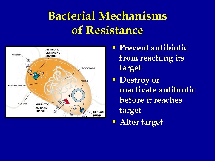 Bacterial Mechanisms of Resistance • Prevent antibiotic from reaching its target • Destroy or