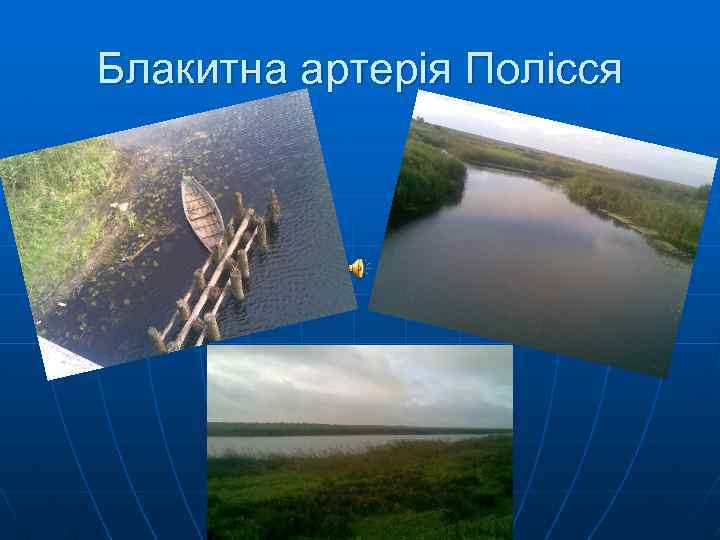 Блакитна артерія Полісся 