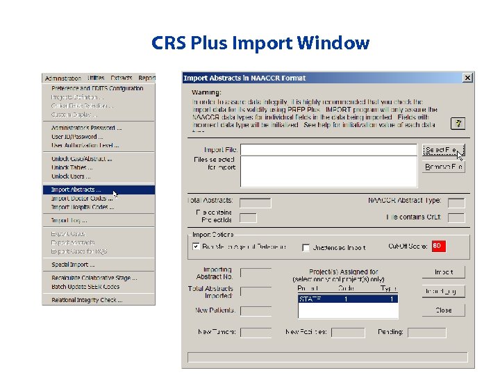 CRS Plus Import Window 