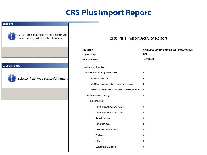 CRS Plus Import Report 