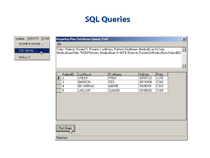 SQL Queries 