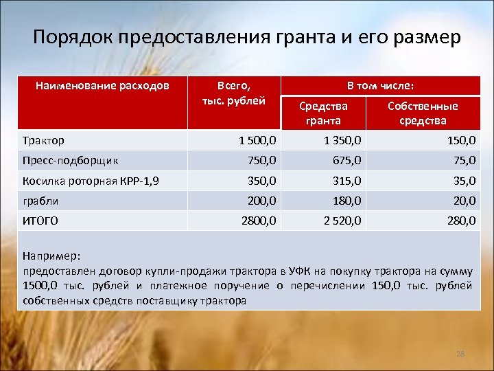 Порядок предоставления гранта 200 мрп