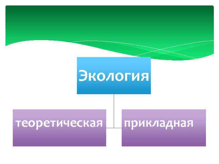 Экология теоретическая прикладная 