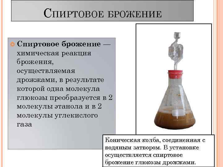 Красная и белая схема брожения