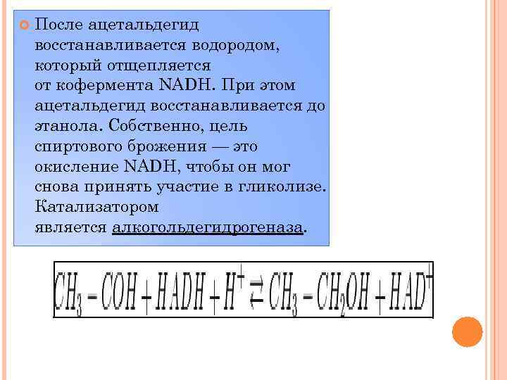  После ацетальдегид восстанавливается водородом, который отщепляется от кофермента NADH. При этом ацетальдегид восстанавливается