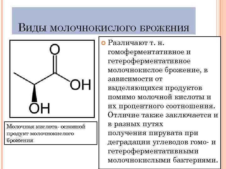 ВИДЫ МОЛОЧНОКИСЛОГО БРОЖЕНИЯ Молочная кислота основной продукт молочнокислого брожения Различают т. н. гомоферментативное и