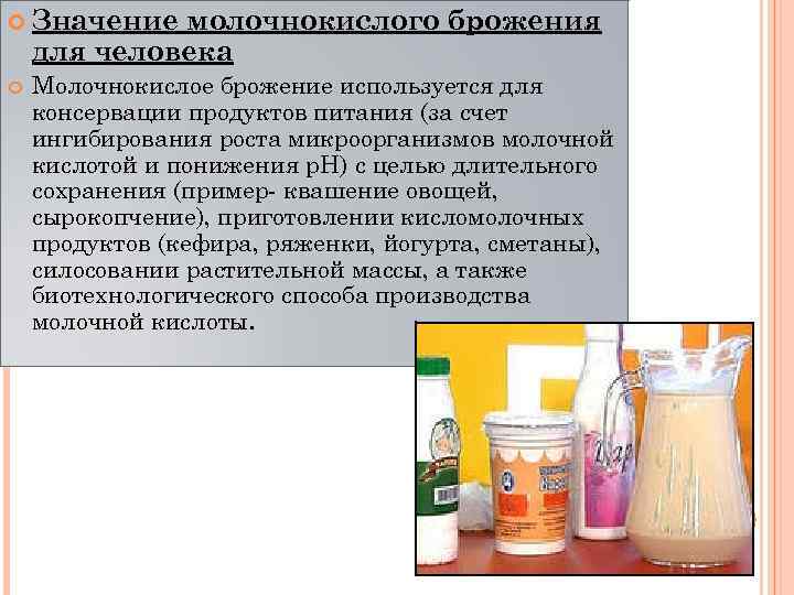 Бактерии молочнокислого брожения. Продукты молочнокислого брожения. Брожение кисломолочных продуктов. Процесс молочнокислого брожения.