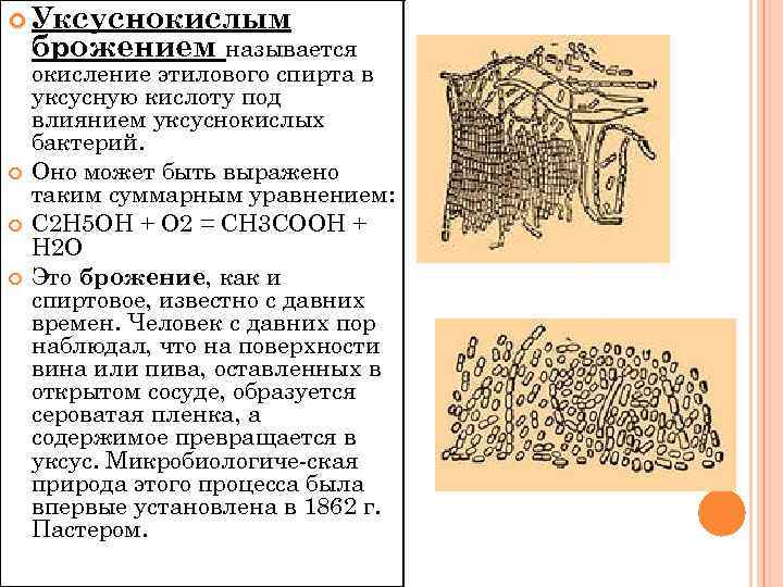  Уксуснокислым брожением называется окисление этилового спирта в уксусную кислоту под влиянием уксуснокислых бактерий.