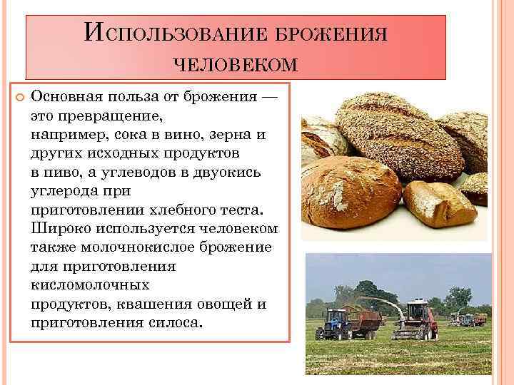 Основная польза