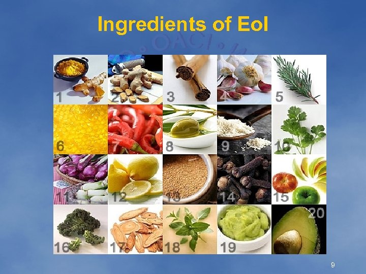 Ingredients of Eo. I 9 