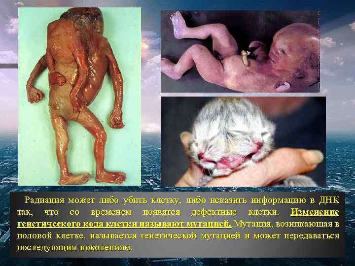 Радиация может либо убить клетку, либо исказить информацию в ДНК так, что со временем