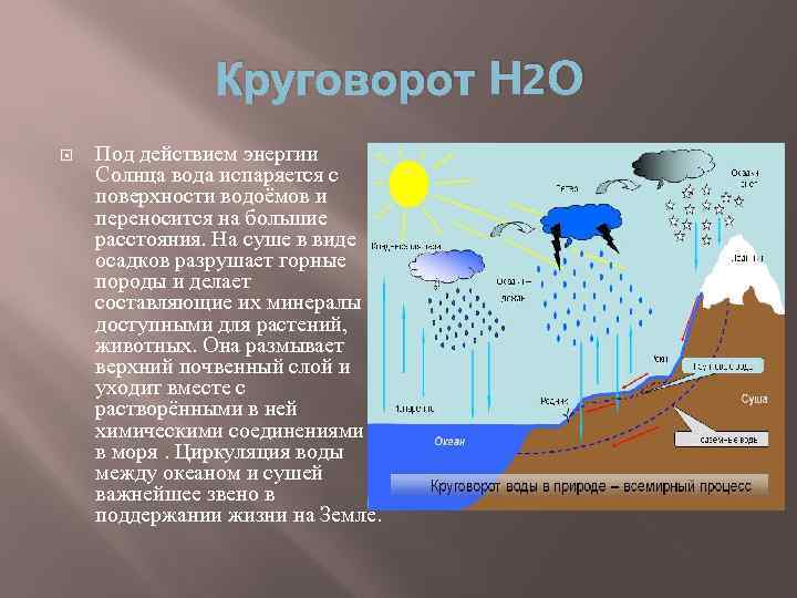 Круговорот воды в биосфере презентация 10 класс